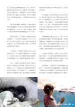 電子圖書
