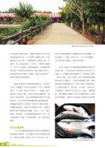電子圖書