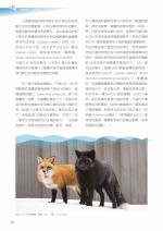 電子圖書