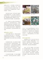 電子圖書