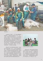 電子圖書