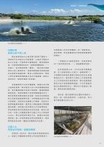 電子圖書