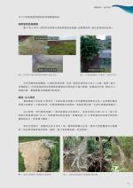 電子圖書