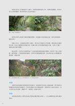 電子圖書