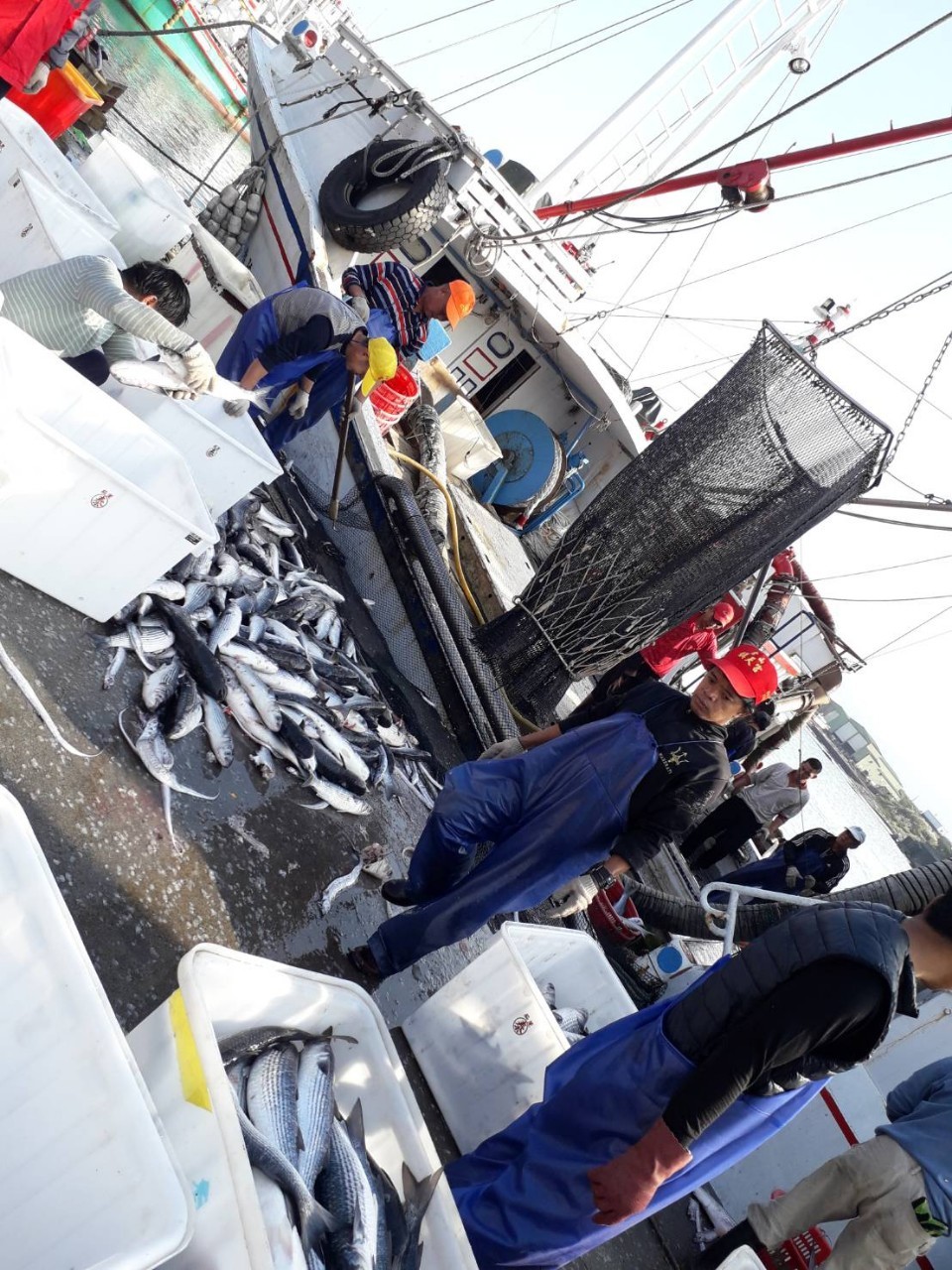 30a2b389fe3d345969bf06c5beb3eb64