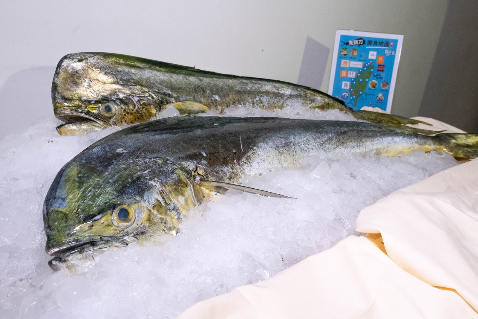 3_生鮮鬼頭刀全魚