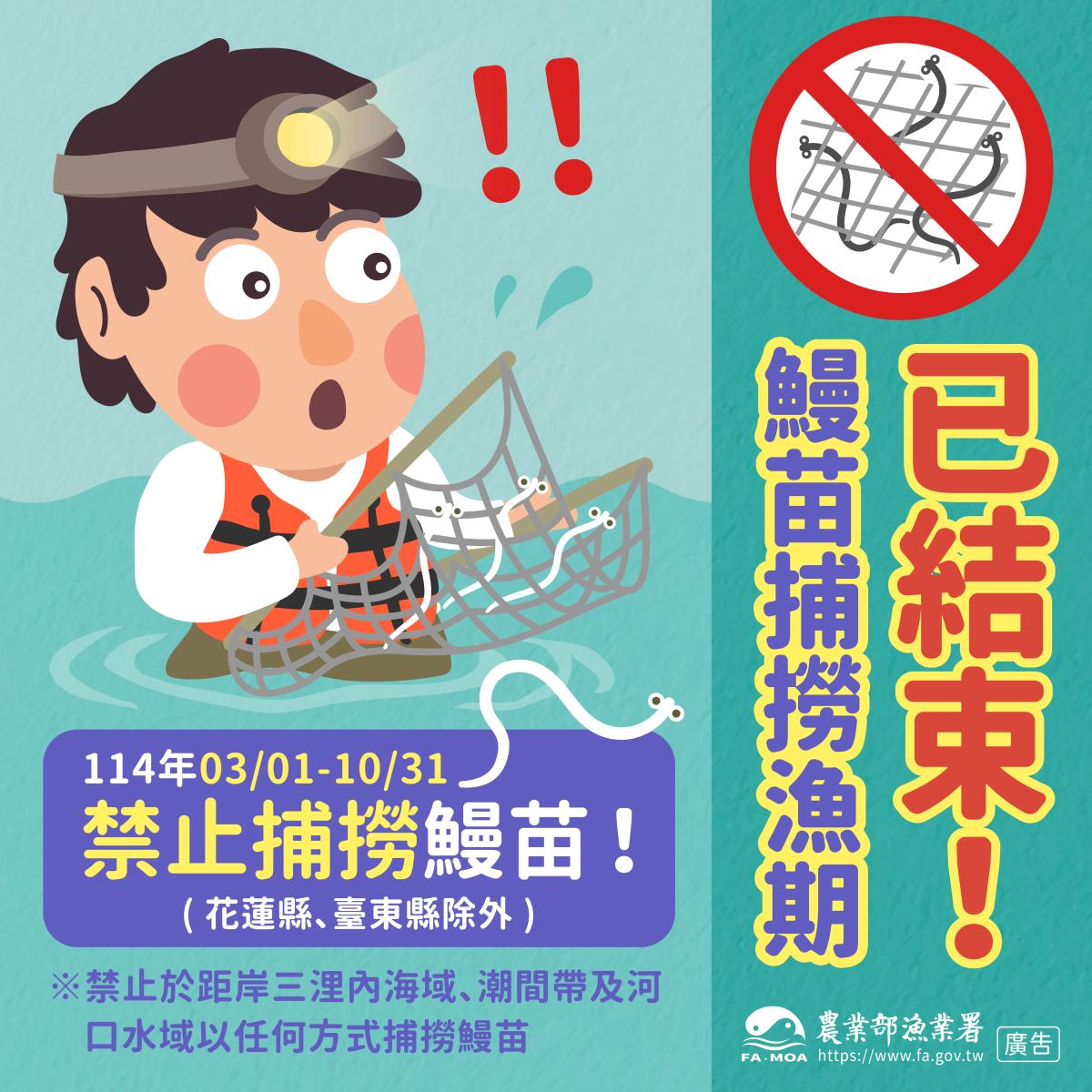 114禁止捕撈鰻魚