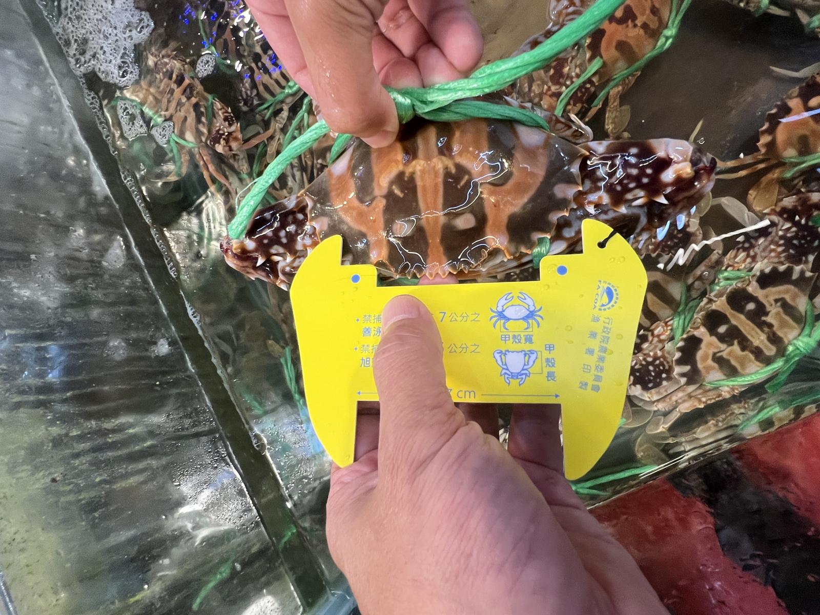 漁業署在魚市場進行查核作業2