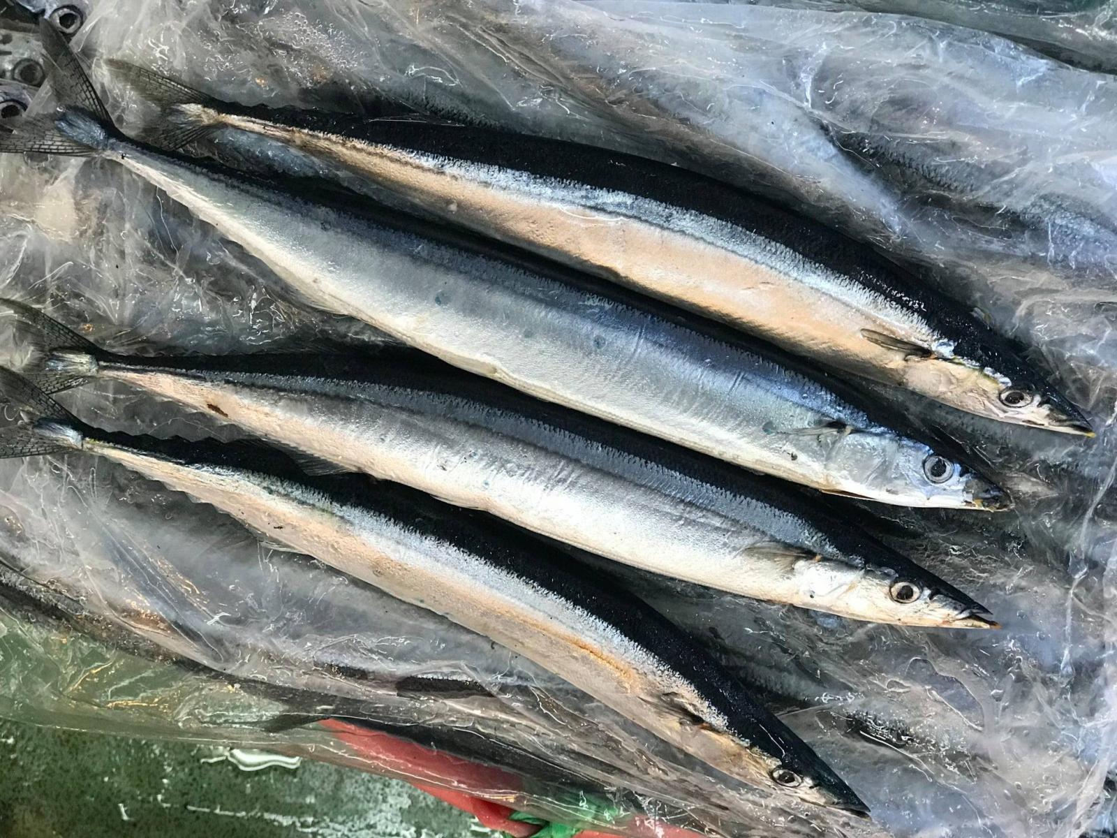 2_秋刀魚